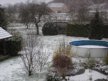 LES PTITS FLOCONS...