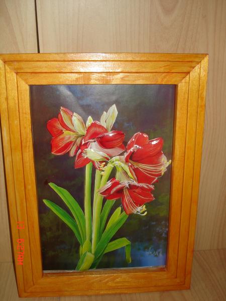 L'amarylis...........