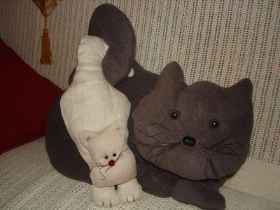 CHAT A ADOPTER....